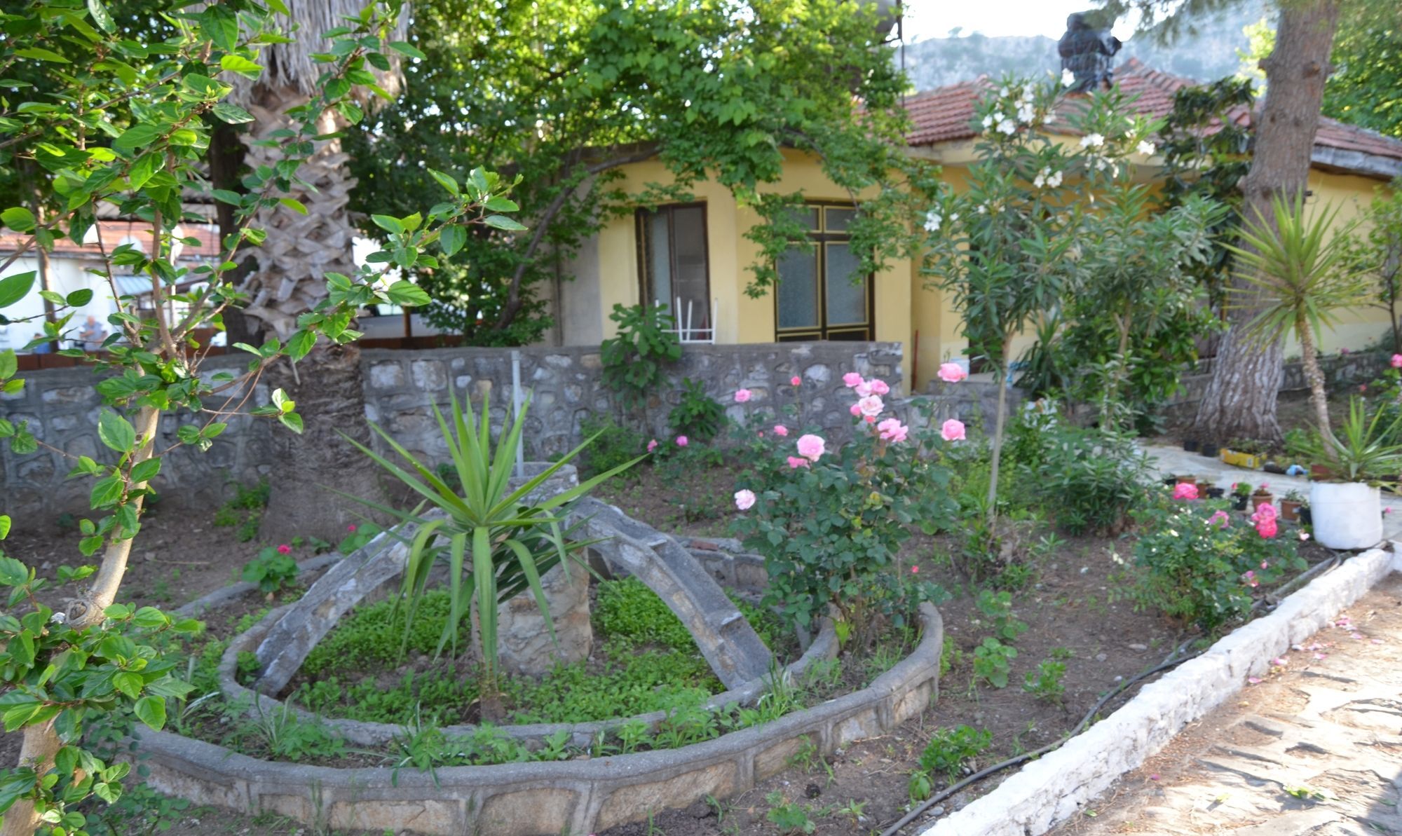 Dalyan Patio Hotel ภายนอก รูปภาพ